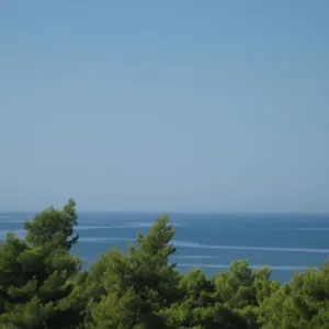 Seapine Appartamento